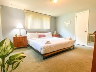 Belvoir Drive Southern Charmer - 3
