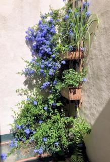 Grande Chambre d'hôtes - 3