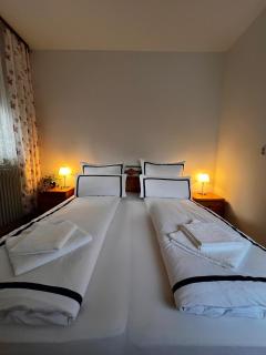 Hotel Hirsch - 2