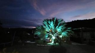 finca hotel ganbaru - 8