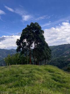 finca hotel ganbaru - 5