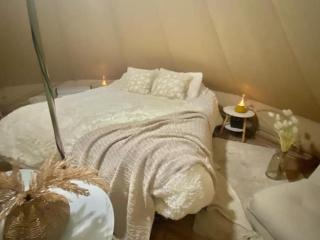 Glamping en Conguillío con pozones y río - 4