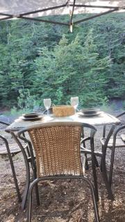 Tinaja, río y bosque en Conguillío - 1