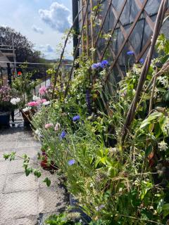 Epic Location, Views & Large Private Terrace - 6