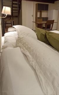 Arvore da Vida Pousada - 0