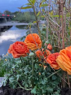 By the River - 4