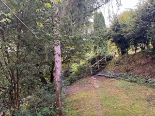 Waldbaden - 8