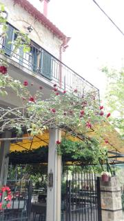 Skardamoula's Studios n Apartments - Kardhamili - 9