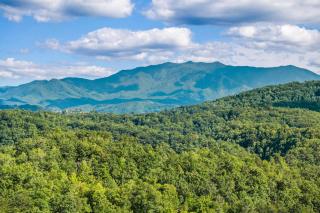Raccoon Ridge - 7