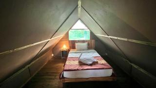 Saadani Beach Camp - 9