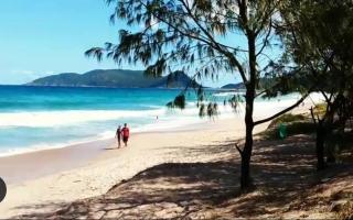 apto 1 na praia em Florianópolis - 5