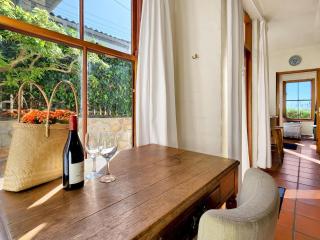 Sunny Kalk Bay Garden Cottage Walk to Harbour - 7