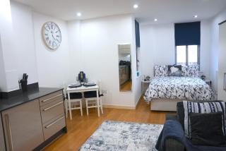 Chic Studio near Canary Wharf - 0