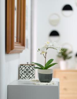 Casa Cielo - 7