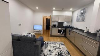 Chic Studio near Canary Wharf - 8