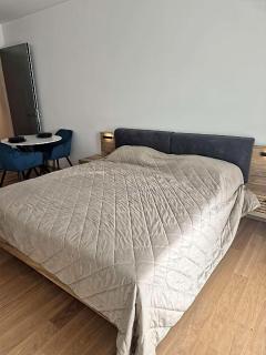 Holesovice Luxury Apartments Free Parking - Prag - 3