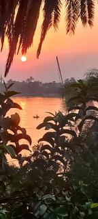 Villa Rose-Luxor - Luxor - 5