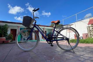 Hotel Las Mestizas Valladolid - 4