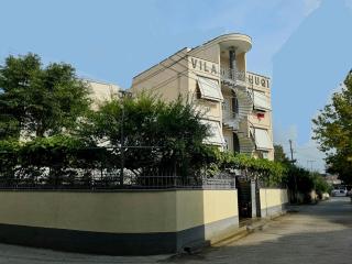 Vila huqi - 9