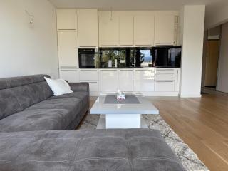Modern 2BR Apt with Balcony and Mountain View LIA001 - 7