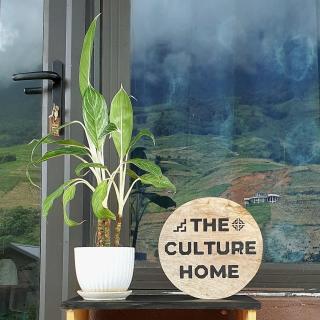 The Culture Home - 9