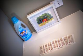 Red Hut - touch of luxury - Twizel - 1