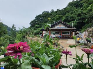 로뎀나무 - 6