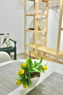 Stúdio no Centro-Lapa,Consulado, Praia, Metrô e AR! 1033 - 5