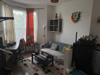 Charming 1-Bedroom Flat with Garden near Stratford & Olympic Park - 6