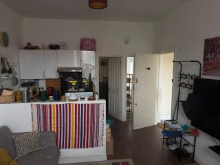 Charming 1-Bedroom Flat with Garden near Stratford & Olympic Park - 4