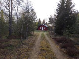 Log Cabin with hot-tub & Sauna, secluded location - 4