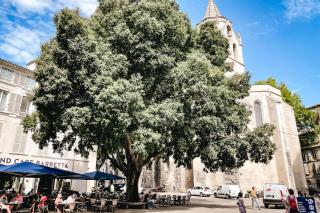 Charming apartment in the city center - 1