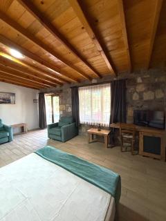 Poolside Family Stone Studio and Breakfast Included - Ayvalık - 9
