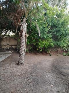 Beautiful North Coast Family Villa with Pool, Just Minutes from the Sea - Ad Dayr - 1