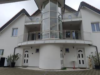 145m2 Grand Appartement proche Bâle - 9