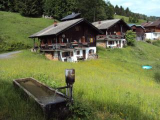 Ferienwohnungen im Blockhaus Metzler - Schwarzenberg - 8