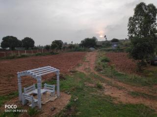 Peacock Haven Agro-eco Tourism Farm - 5