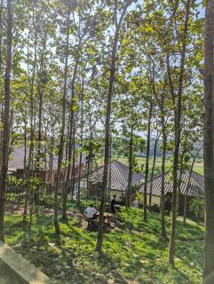 Kasuari Exotic Resort Magelang - 5