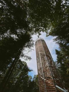 Wolne Domy - 4