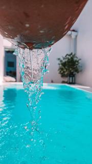 Casa das Andorinhas-Alentejo - Vidigueira - 3