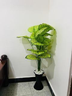 Studio Room - 2