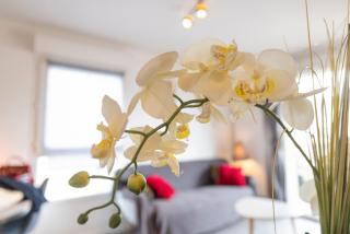 Charmant Appartement T2 - 5