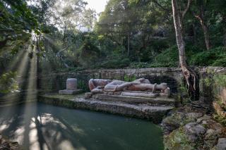 The Oberoi Rajgarh Palace - 4