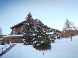 Studio ski aux pieds avec balcon et animaux acceptés - FR-1-181-2861 - 4