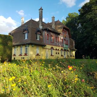 Le château de Mesnil 1916 - 7