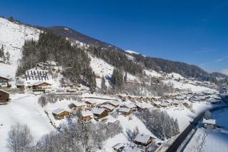 Schöneben Haus Wikinge - Wald im Pinzgau - 9