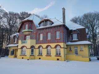 Le château de Mesnil 1916 - 5