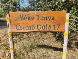 Béke Tanya - 1