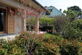 La casa di Angela intero appartamento - 5