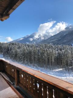 Nationalpark Chalet Hoher Rosshuf - Neukirchen am Großvenediger - 4